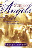 Working with Angels - Faith & Flame - Books and Gifts - Destiny Image - 9780768425116
